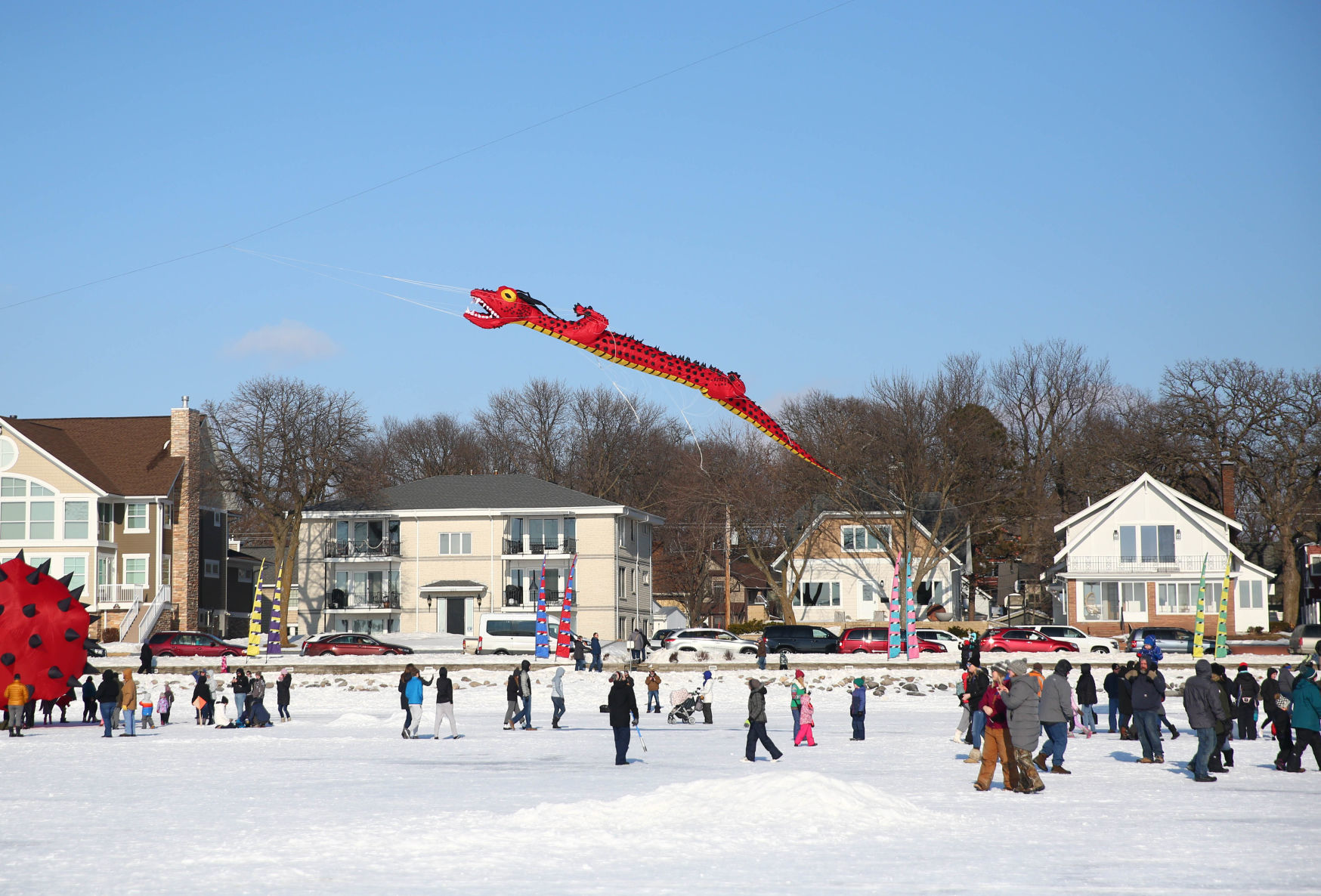 Color the Wind kite festival 02-15-2020 (10).jpg